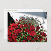 Mums Shadows Postkarte (Vorne/Hinten)