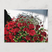 Mums Shadows Postkarte (Vorderseite)