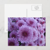 Mums the word! postkarte (Vorne/Hinten)