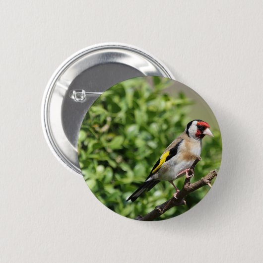 Münch Button (Vorne & Hinten)