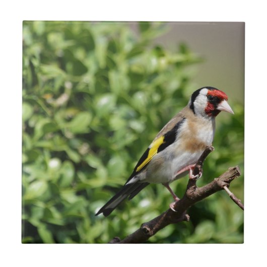 Münch Fliese (Vorderseite)