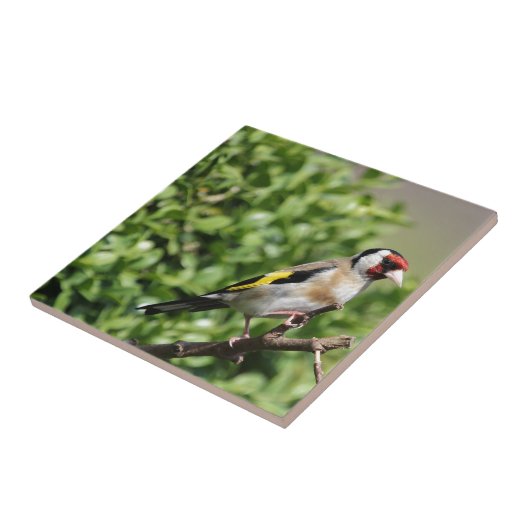 Münch Fliese (Seite)