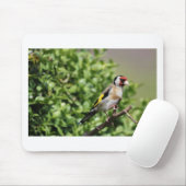 Münch Mousepad (Mit Mouse)