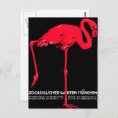 München Zoo Garden Flamingo Postkarte (Vorne/Hinten)