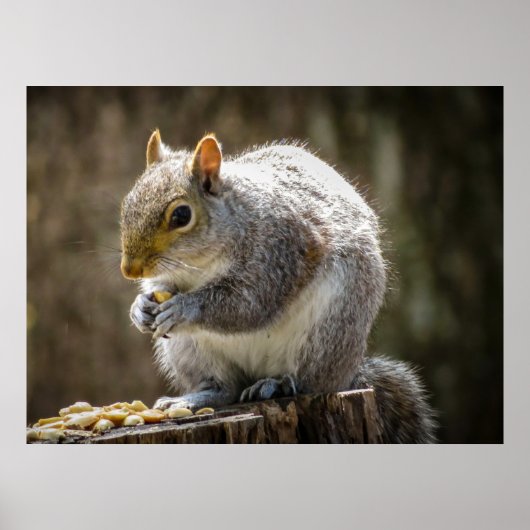 Munchies Poster (Vorne)