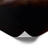 Munchkin Cat Poster (Ecke)