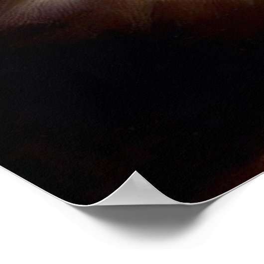 Munchkin Cat Poster (Ecke)