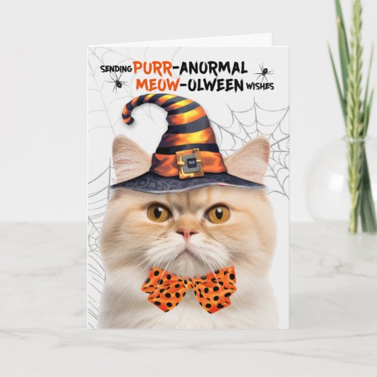 Munchkin Cat PURRanormal MEOWolween Feiertagskarte (Vorderseite)