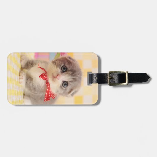 Munchkin Kätzchen Gepäckanhänger (Vorderseite horizontal)