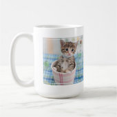 Munchkin Kätzchen mit hübschem Band Kaffeetasse (Links)