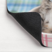 Munchkin Kätzchen mit hübschem Band Mousepad (Ecke)