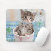 Munchkin Kätzchen mit hübschem Band Mousepad (Mit Mouse)