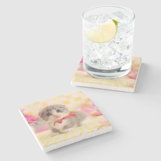 Munchkin Kätzchen Steinuntersetzer (Seitenansicht)