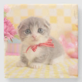 Munchkin Kätzchen Steinuntersetzer (Vorderseite)