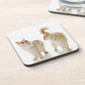 Munchkin Katzen Getränkeuntersetzer (Linke Seite)