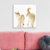 Munchkin-Katzen Leinwanddruck (Insitu (Wohnzimmer))