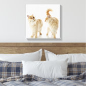 Munchkin-Katzen Leinwanddruck (Insitu (Schlafzimmer))