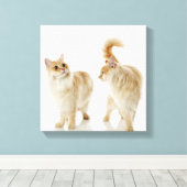 Munchkin-Katzen Leinwanddruck (Insitu (Holzboden))