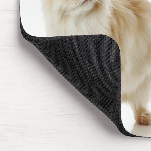 Munchkin-Katzen Mousepad (Ecke)
