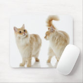 Munchkin-Katzen Mousepad (Mit Mouse)
