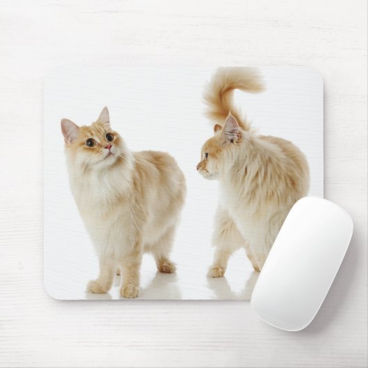 Munchkin-Katzen Mousepad (Mit Mouse)