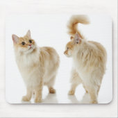 Munchkin-Katzen Mousepad (Vorne)