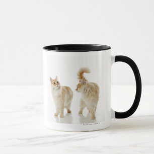 Munchkin Katzen Tasse