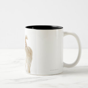 Munchkin Katzen Zweifarbige Tasse