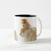 Munchkin Katzen Zweifarbige Tasse (VorderseiteRechts)