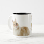Munchkin Katzen Zweifarbige Tasse (Vorderseite Links)