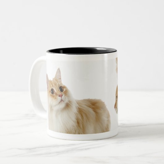Munchkin Katzen Zweifarbige Tasse (Vorderseite Links)