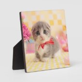 Munchkin Kitten Fotoplatte (Vorderseite)