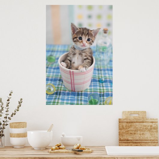 Munchkin Kitten mit Hübschem Band Poster (Küche)
