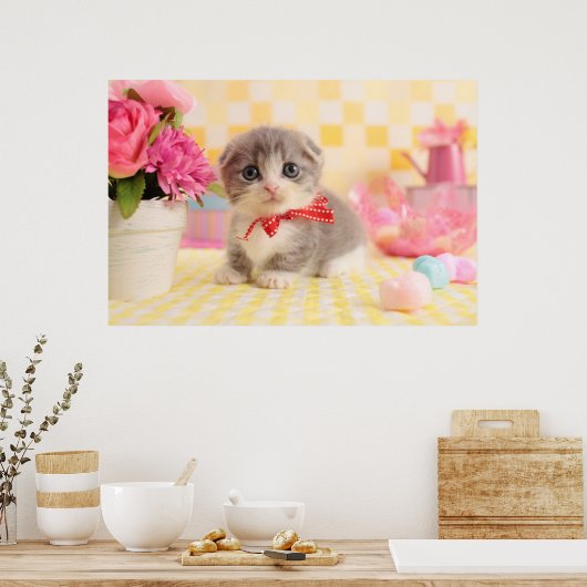 Munchkin Kitten Poster (Küche)