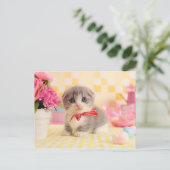 Munchkin Kitten Postkarte (Stehend Vorderseite)