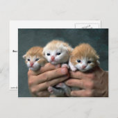 Munchkins Postkarte (Vorne/Hinten)