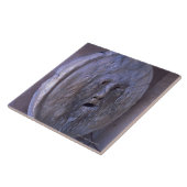 Mund der Wahrheit Fliese (Seite)