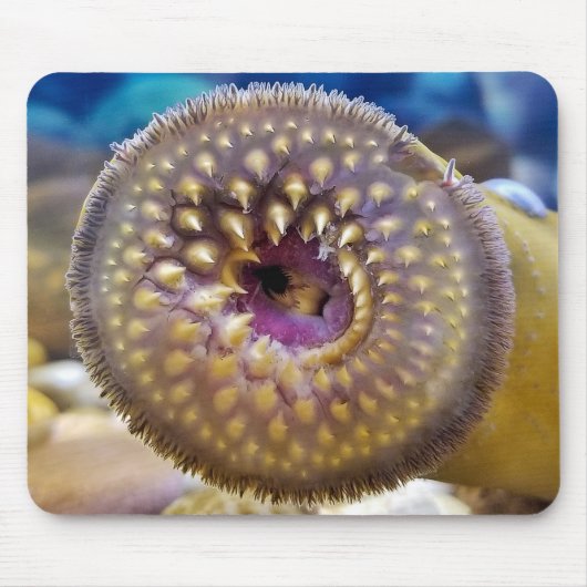 Mund von Sea Lamprey Mousepad (Vorne)