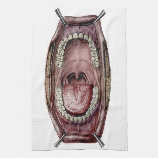 Mundanatomie Geschirrtuch (Vertikal)