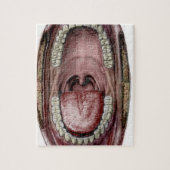 Mundanatomie Puzzle (Vertikal)