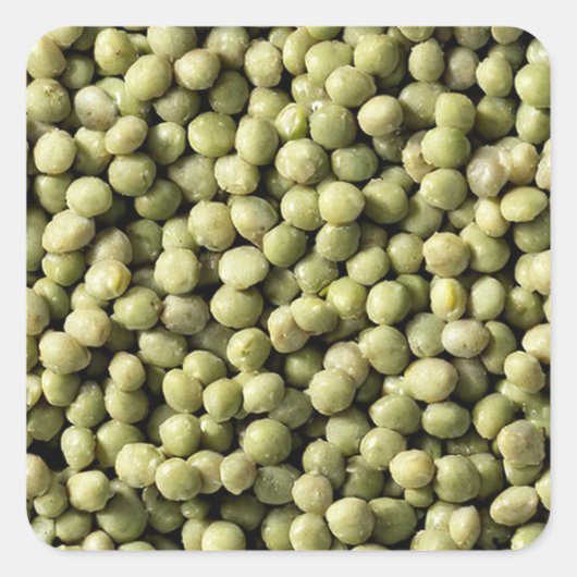 Mung Beans Quadratischer Aufkleber (Vorderseite)