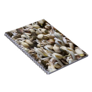 Mung der Bohnen Notizblock