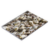 Mung der Bohnen Notizblock (Linke Seite)