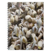 Mung der Bohnen Notizblock (Vorderseite)