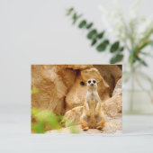 Mungo-stehendes hohes postkarte (Stehend Vorderseite)