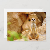 Mungo-stehendes hohes postkarte (Vorne/Hinten)