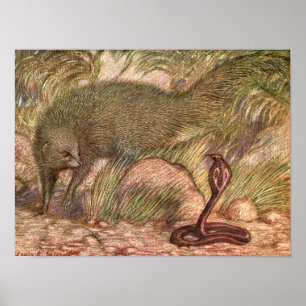 Mungo und Kobra von Sargent, Vintage Wildtier Poster