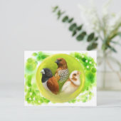 Munia macht realistisches Bild Postkarte (Stehend Vorderseite)