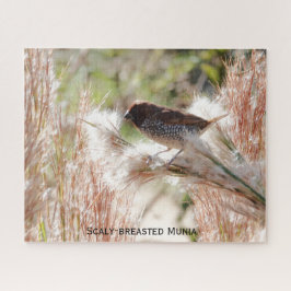 Munia mit Scaly-Brüste; Bird Lover's Puzzle