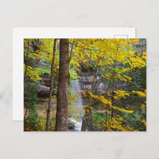 Munising, Michigan Postkarte (Vorne/Hinten)